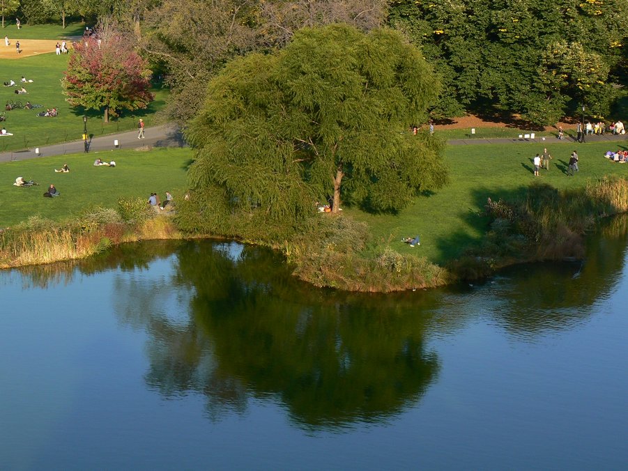 Central Park: Central Park 098